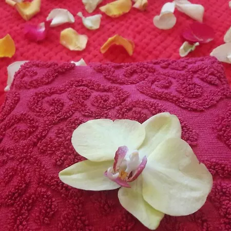 Jacuzzi Red Apartman